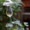 Self-Watering Plant Glass Bulbs