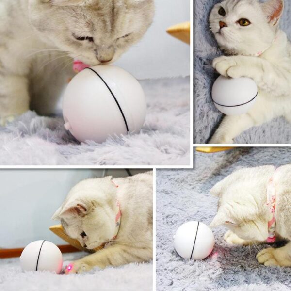 Electronic Cat Dog LED Laser Red Light Rolling Ball Perfect Toy Keep Your Pet Busy Cat 2