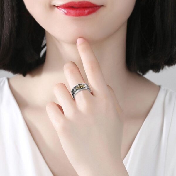 Feng Shui Pixiu Charms Ring Women Vehivavy Amulet Harena Lucky Open Open Adjustable Ring Men Buddhist Jewelry Rings 5