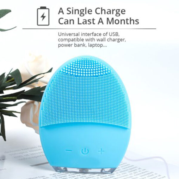 electric facial cleansing brush