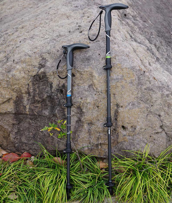 trekking pole