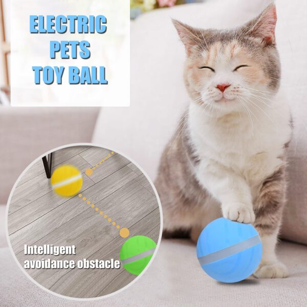 Pet Toy LED Flash Rolling Ball Electric Motion Activated Pet Ball Waterproof and Durable Cat Dog 2 1