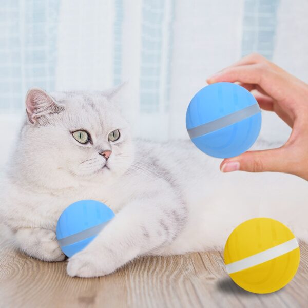 Pet Toy LED Flash Rolling Ball Electric Motion Activated Pet Ball Waterproof and Durable Cat Dog 3 1