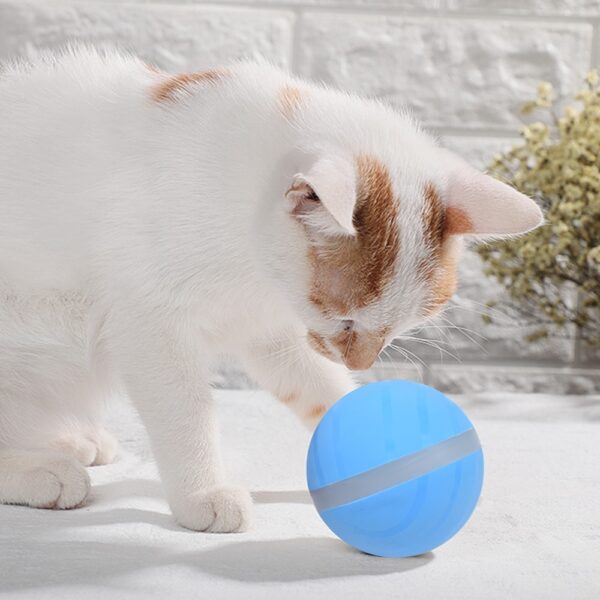Pet Toy LED Flash Rolling Ball Electric Motion Activated Pet Ball Waterproof and Durable Cat Dog 4 1