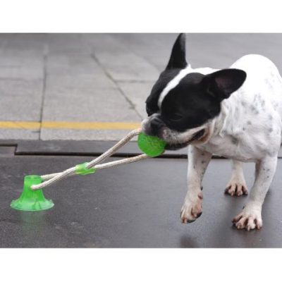 dog toy that sticks to the floor