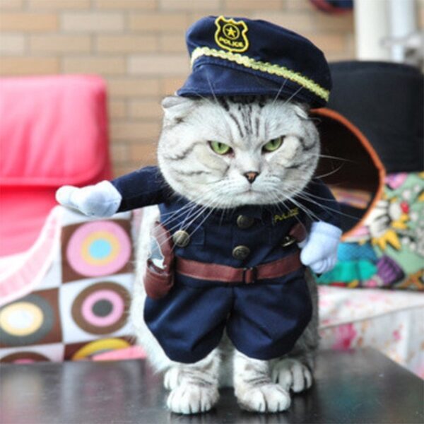 Funny Cat Clothes Pirate Suit Clothes For Cat Costume Clothing Corsair Halloween Clothes Dressing Up Cat 1.jpg 640x640 1