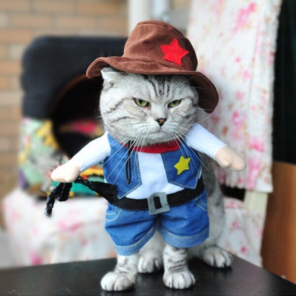 Funny Cat Clothes Pirate Suit Clothes For Cat Costume Clothing Corsair Halloween Clothes Dressing Up Cat 2.jpg 640x640 2