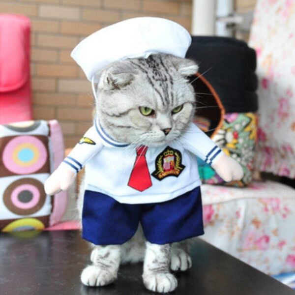 Funny Cat Clothes Pirate Suit Clothes For Cat Costume Clothing Corsair Halloween Clothes Dressing Up Cat 3.jpg 640x640 3
