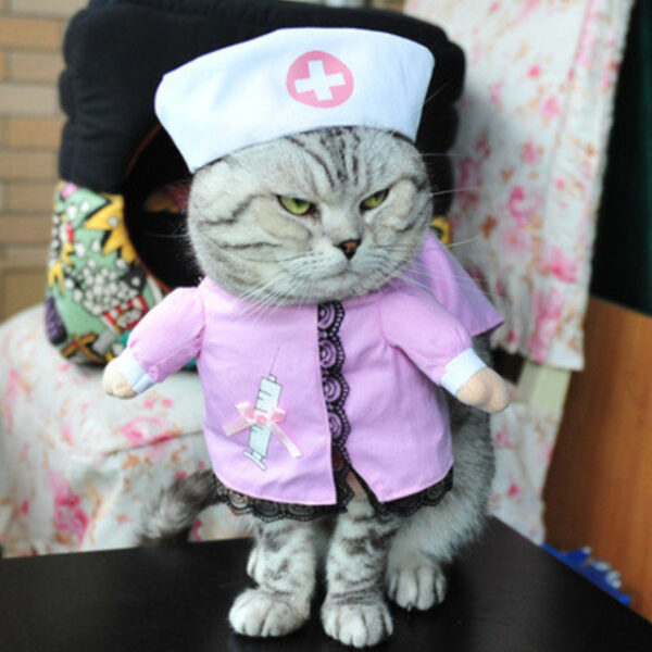 Funny Cat Clothes Pirate Suit Clothes For Cat Costume Clothing Corsair Halloween Clothes Dressing Up Cat 5.jpg 640x640 5