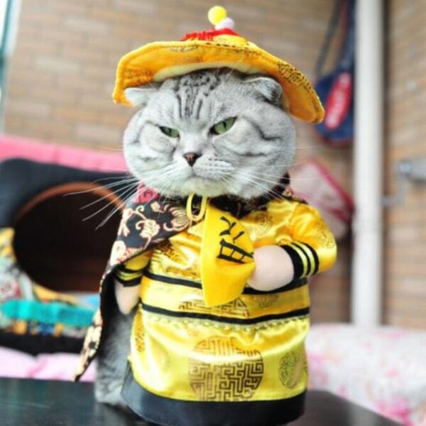 Funny Cat Clothes Pirate Suit Clothes For Cat Costume Clothing Corsair Halloween Clothes Dressing Up Cat 9.jpg 640x640 9