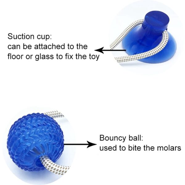 Pet Supplies Self playing Rubber Ball Toy With Suction Cup Dog Interactive Molar Chew Toy Teeth 3