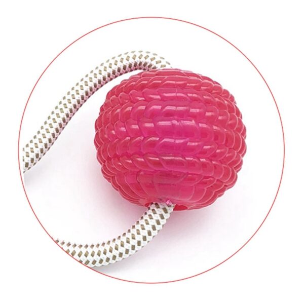 Pet Supplies Self playing Rubber Ball Toy With Suction Cup Dog Interactive Molar Chew Toy Teeth 5