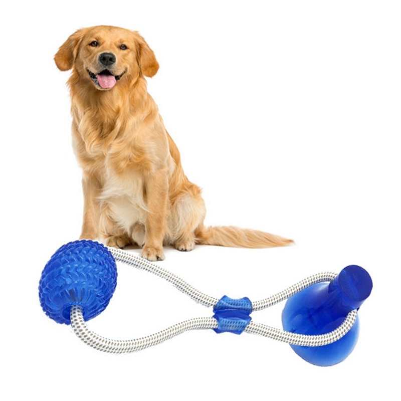 dog tug toy