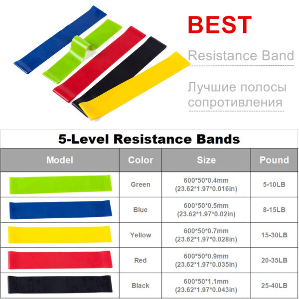 Resistance Band Set 17Pcs Gym Strength Training Rubber Loops Band Workout Fintess Exercise Bands Door Anchor 4