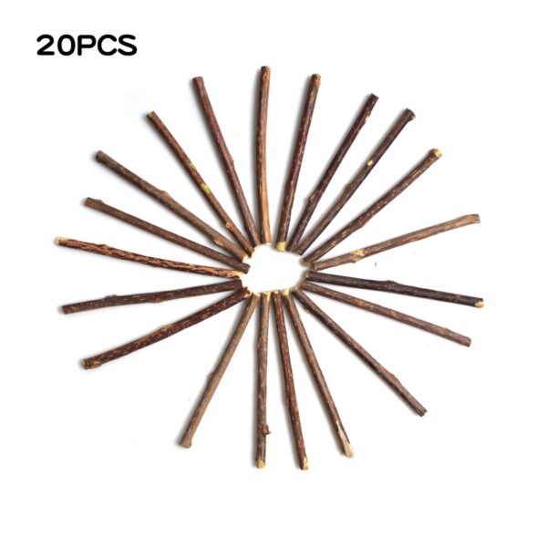 15 20pcs Natural Catnip Pet Cat Molar Toothpaste Stick Matatabi Actinidia Fruit Silvervine Cat Snacks Sticks 2