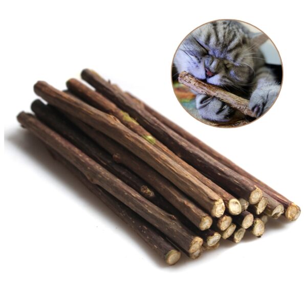 15 20pcs Natural Catnip Pet Cat Molar Toothpaste Stick Matatabi Actinidia Fruit Silvervine Cat Snacks Sticks