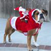 Christmas Dog Costume