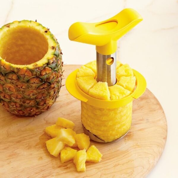 stainless steel pineapple slicer dicer