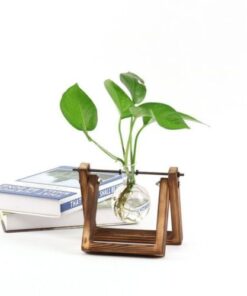 2018 Creative Wooden Stand Glass Terrarium Container Hydroponics Planter Flower Pot Tabletop Vase DIY Home Office 3