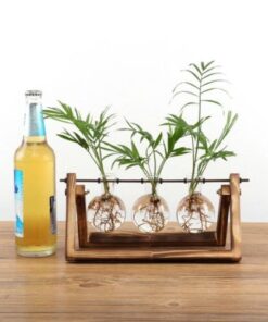 2018 Creative Wooden Stand Glass Terrarium Container Hydroponics Planter Flower Pot Tabletop Vase DIY Home Office 5.jpg 640x640 5