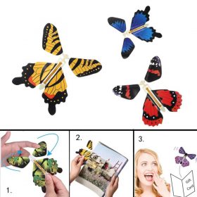 The Magic Butterfly - image 7