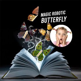 The Magic Butterfly - image 1