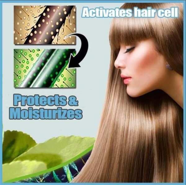 Koyulaştırıcı Şampuan Bar El Yapımı Fallopia Multiflora Zencefil Saç Şampuan Sabunu Saç Dökülmesine Karşı Saç Derisi Bakım Onarımı 3
