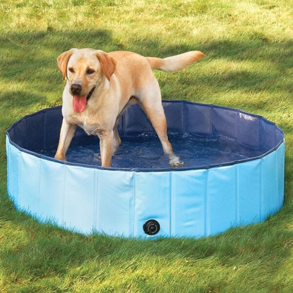 Dog Swimming Pool Foldable Dog Pool Durable portable dog bathtub Plastic Pool For Dogs Pet Bath 1