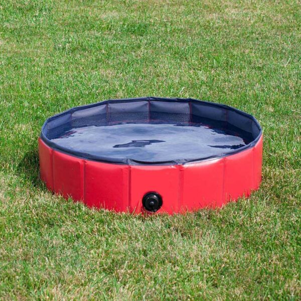 Piscine pour chien piscine pliable pour chien baignoire portable Durable pour chien piscine en plastique pour chiens bain pour animaux de compagnie 2