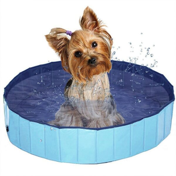 Piscine pliable pour chiens, baignoire portable Durable pour chiens, piscine en plastique pour animaux de compagnie