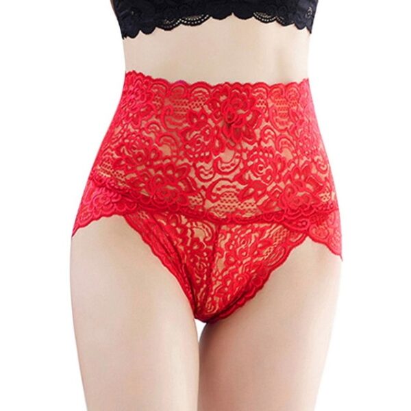 LOOZYKIT Ladies Sexy Transparent Underwear Breathable Woman Panties High Waist Cotton Trunks Lingerie Fashion Lace