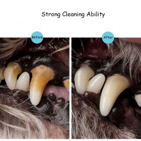 Pets Teeth Cleaning Pen - image 2