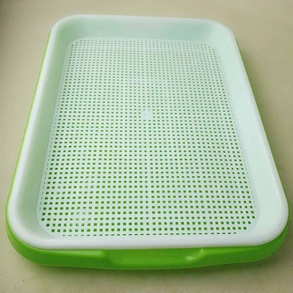 Seed Sprouter Tray BPA Free PP Soil Free Big Capacity Healthy Wheatgrass Grower with Cover Seedling 2.jpg 640x640 2