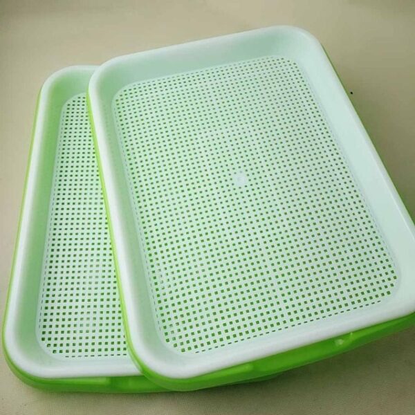 Seed Sprouter Tray BPA Free PP Soil Free Big Capacity Healthy Wheatgrass Grower with Cover Seedling 3.jpg 640x640 3