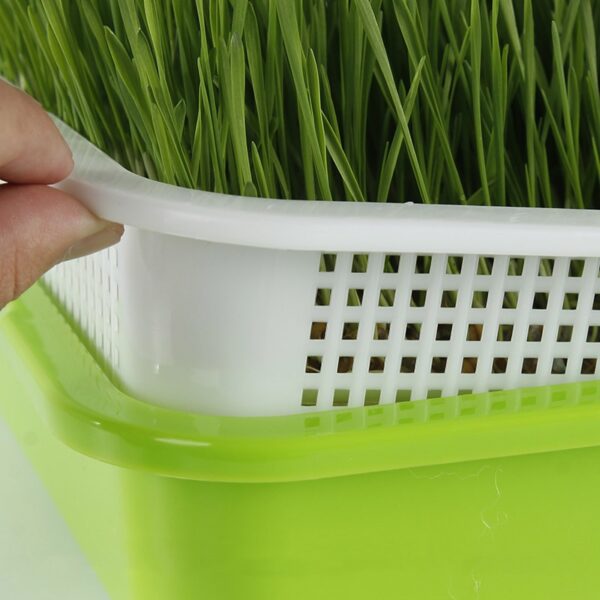 Seed Sprouter Tray BPA Free PP Soil Free Big Capacity Healthy Wheatgrass Grower with Cover Seedling 4