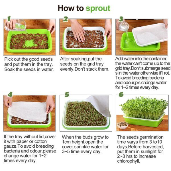 Seed Sprouter Tray BPA Free PP Soil Free Big Capacity Healthy Wheatgrass Grower with Cover Seedling 5