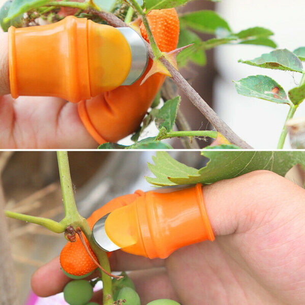 Protectores de dedos de silicona Dedos con cuchilla para frutas vegetales Cosecha de cocina Cuchillo afilado para dedos de pulgar Jardín 3
