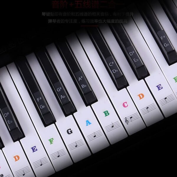 Removable Piano Key Stickers