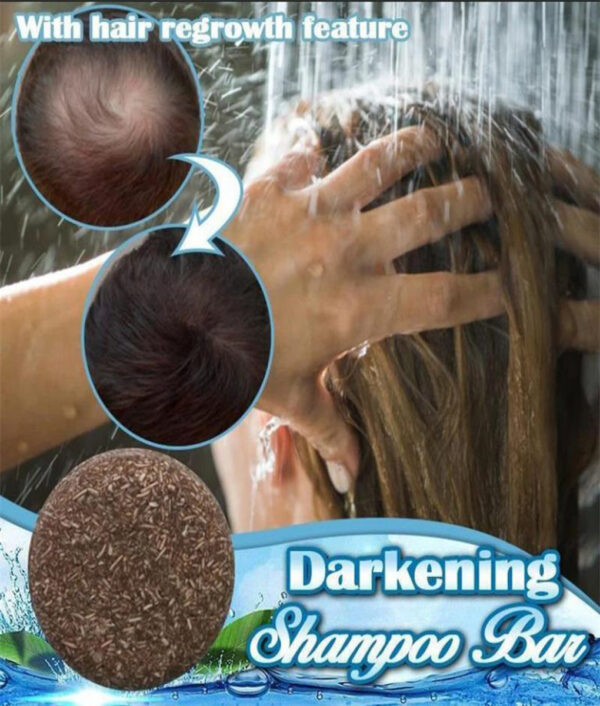 Darkening Shampoo Bar دست ساز Fallopia Multiflora Ginger Shampoo Hair صابون ضد ریزش مو اصلاح پوست سر اصلاح 768x771 1
