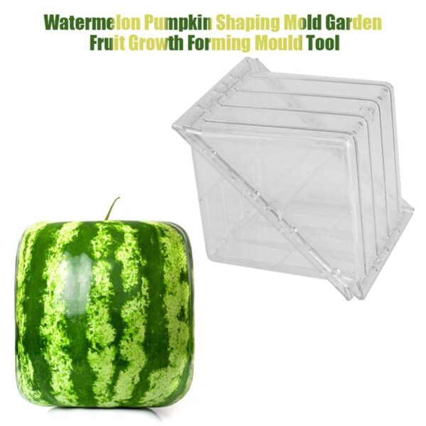 Square Heart Shape Watermelon Mold Garden Fruit Growth Forming Mould Tool 1