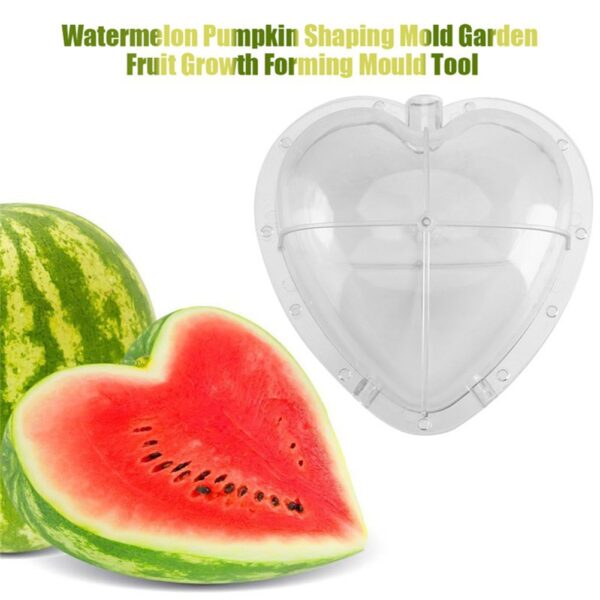 Square Heart Shape Watermelon Mold Garden Fruit Growth Forming Mould Tool 2