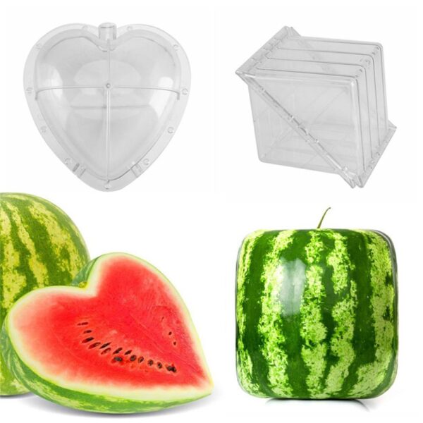 Square Heart Shape Watermelon Mold Garden Fruit Growth Forming Mould Tool