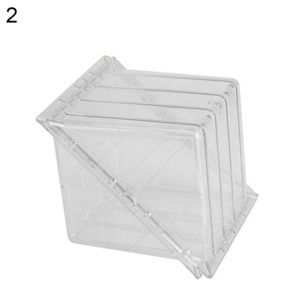 Square Heart Shape Watermelon Mold Garden Fruit Growth Forming Mould