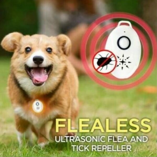 USB Flealess Ultrasonic Flea Tick Repeller Xayawaanka Waxa uu bixiyaa HKS99