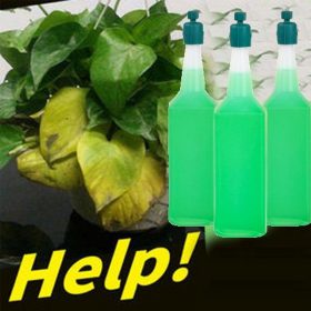 Hydroponic Liquid Fertilizer - image 8