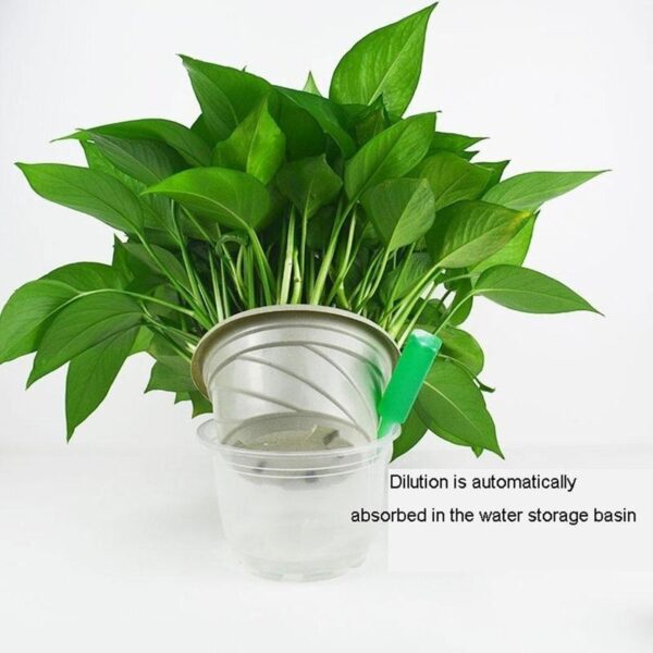 Hidroponinės augalų maistinių medžiagų tirpalo trąšos su turtingomis bambuko gėlių trąšomis vazonuose žalios koncentruotos lapų sėklų trąšos 3