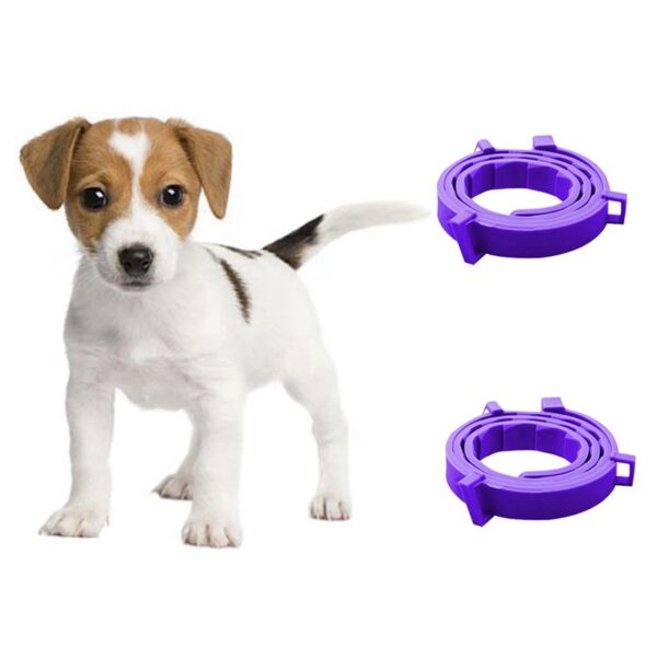 Pet Calm Collar Cat and Dog Soothe Collar Ρυθμιζόμενο λουρί λαιμού TPR ανακουφίζει το άγχος Αφαιρέστε την ανησυχία 1