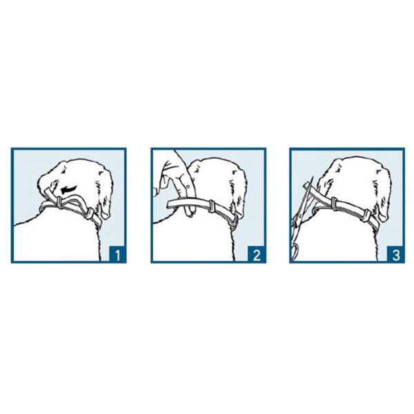 Domácí mazlíček Klidný obojek Kočka a pes Zklidňují límec Nastavitelný popruh na krk TPR ulevuje od úzkosti Odstraňuje neklid 3