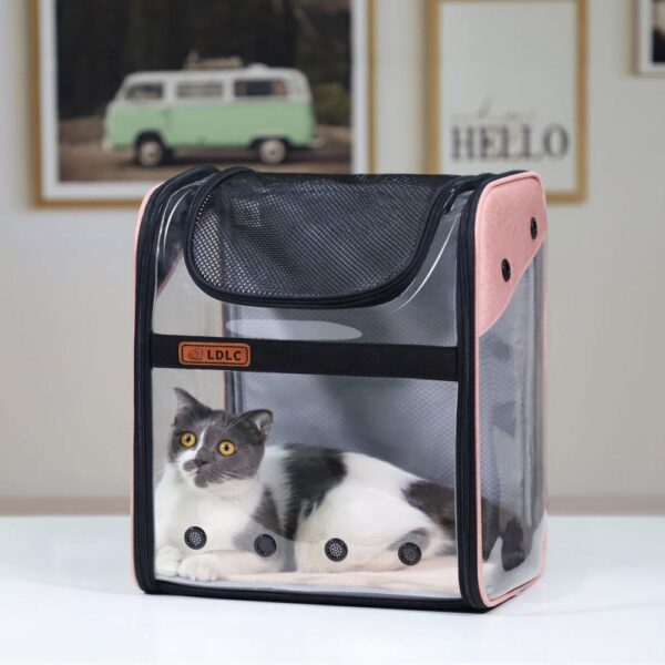Pet Dog Backpack Cat Carrier Outdoor PVC Breathable Space Travel Bag Foldable Cat Transporter Shoulder With 2