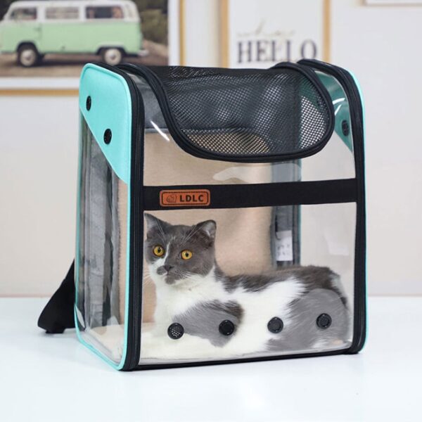 Pet Madraí Backpack Cat Iompróir Lasmuigh PVC Mála Taistil Spáis Breathable Foldable Cat Ghualainn Iompar Le